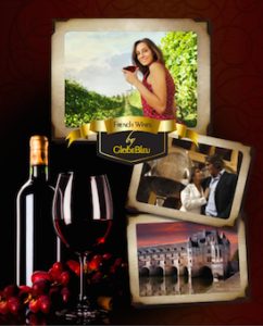 GlobeBleu French Wines Brochures