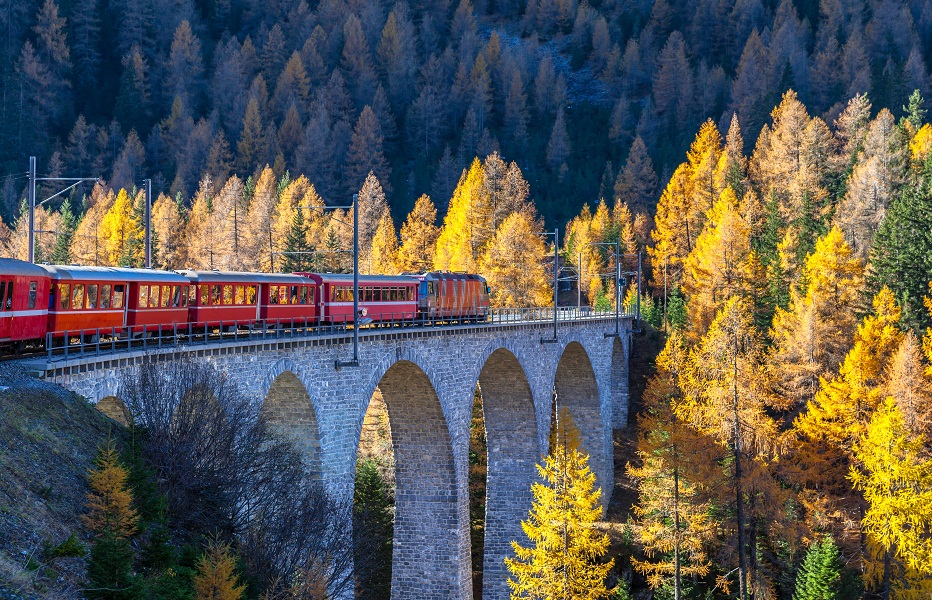Train over the viaduct